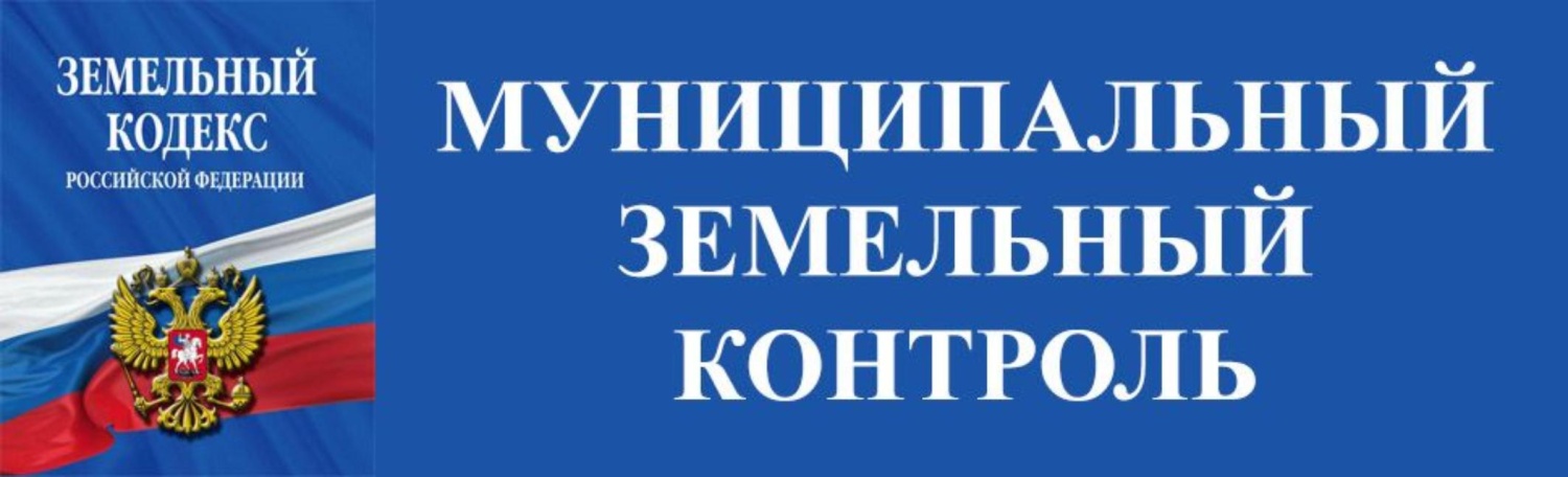 Мораторий на внеплановые проверки