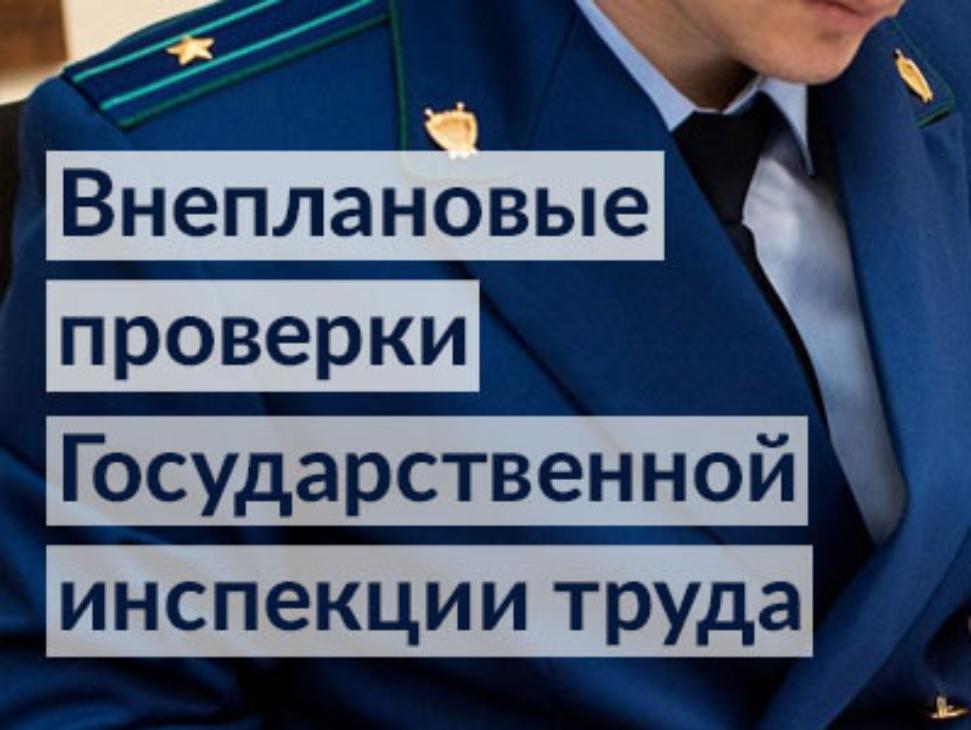 Будет расширен перечень организаций, в которые не придут с плановой проверкой Будет расширен перечень организаций, в которые не придут с плановой проверкой