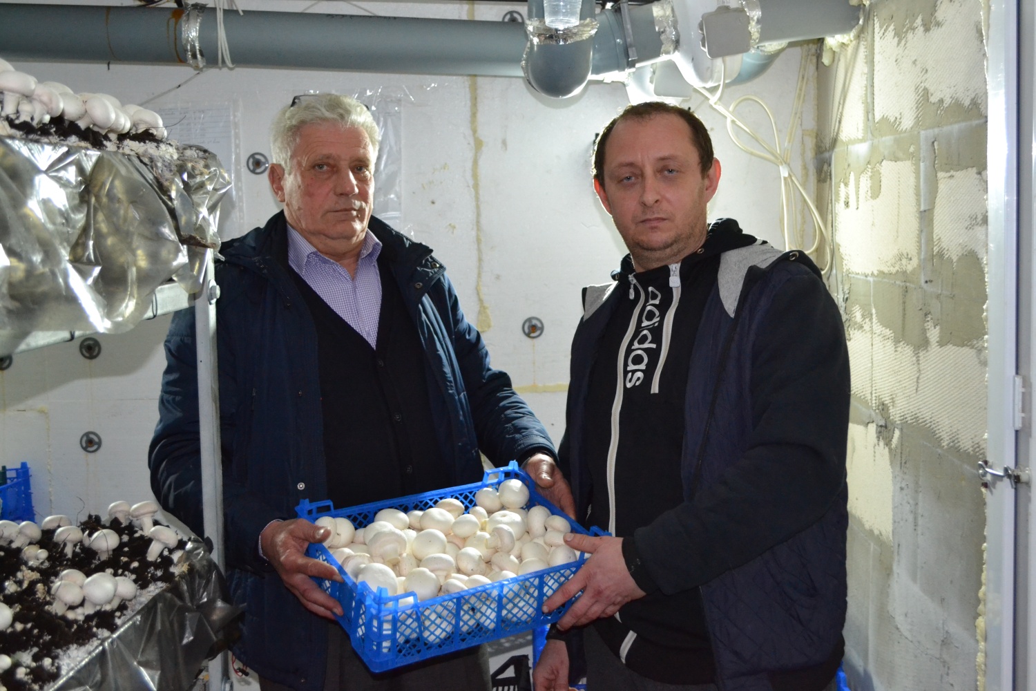 Развитие грибоводства в Бессоновском районе