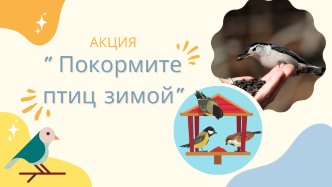 Спешите принять участие в акции "Покормите птиц зимой" Спешите принять участие в акции "Покормите птиц зимой"