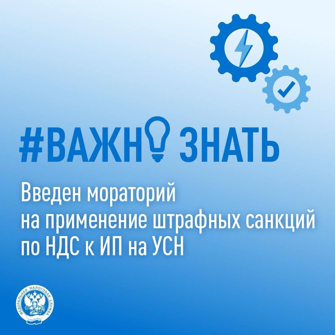 Правительство ввело мораторий на штрафы за неподачу декларации