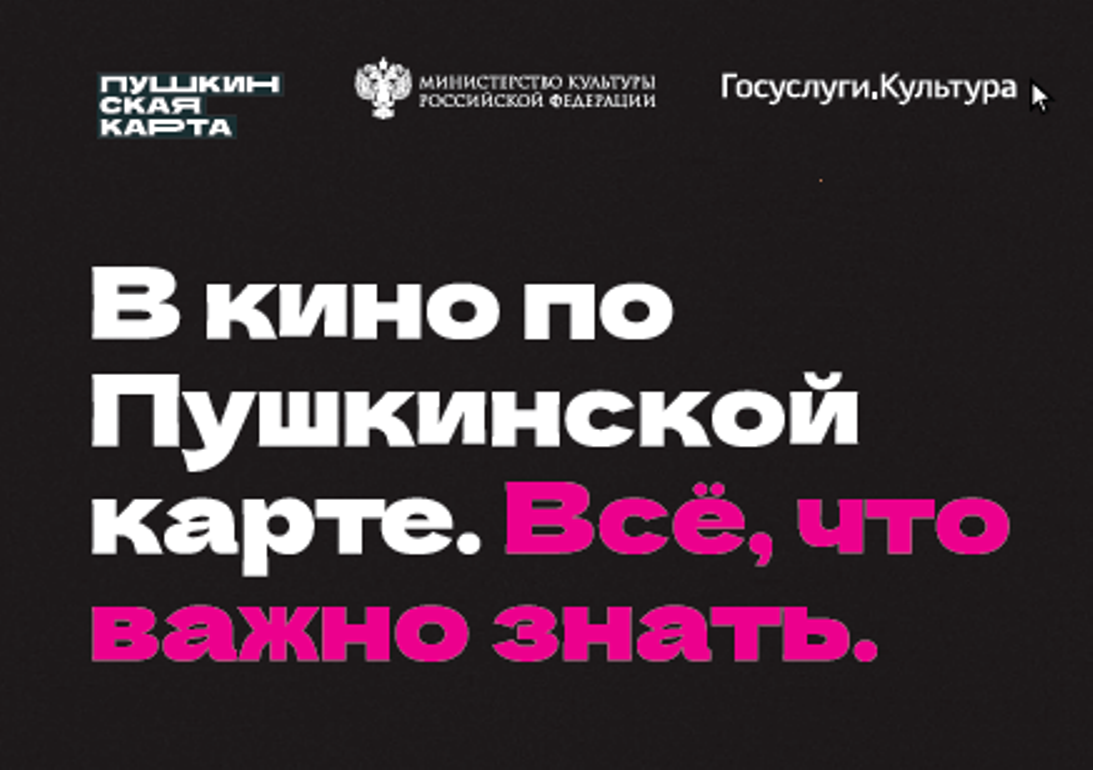 В МФЦ Пензенской области помогут оформить «Пушкинскую карту»