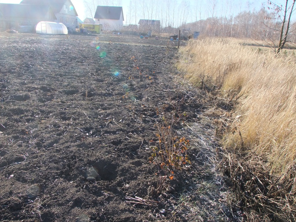 Проведён рабочий выезд в село Чемодановка