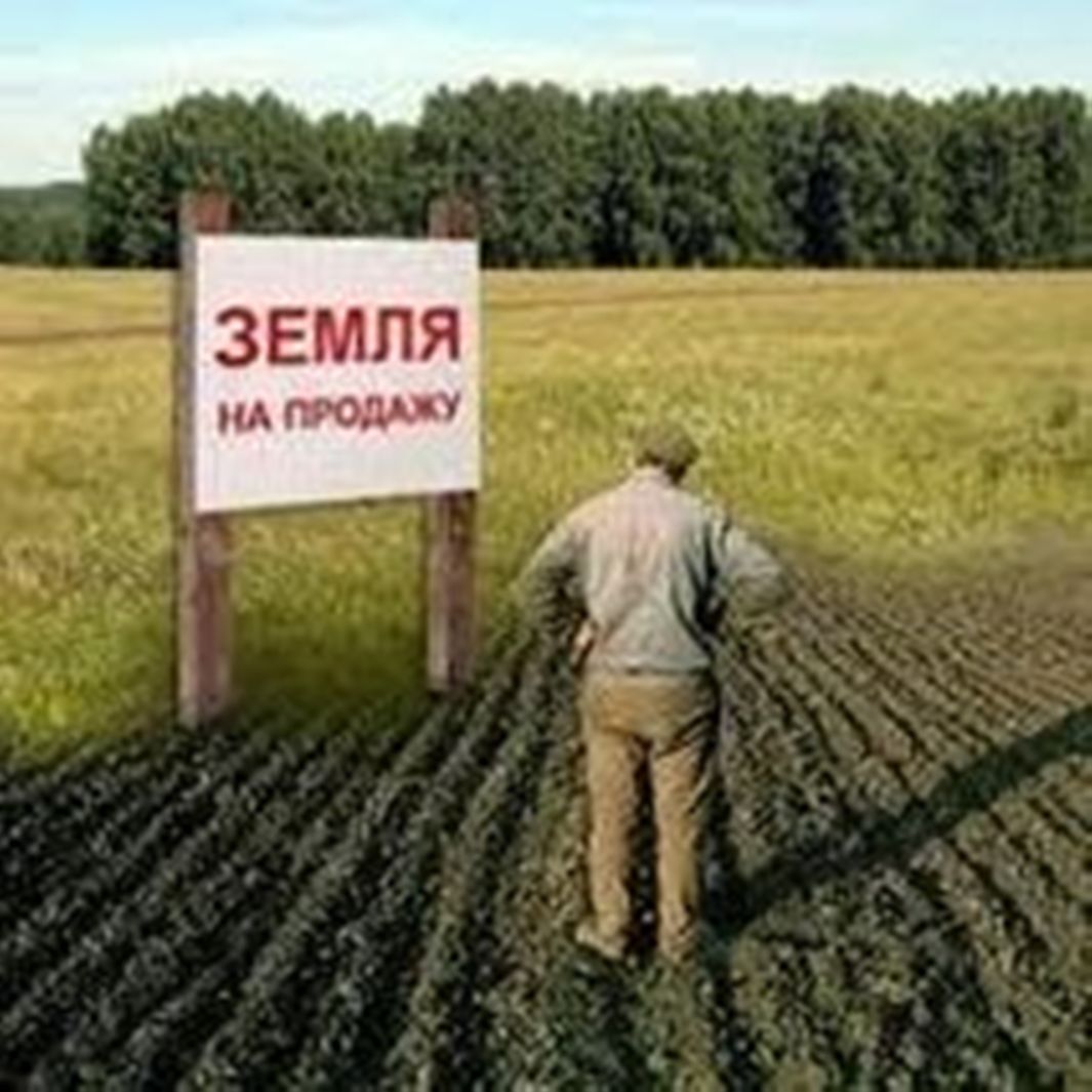 С 1 марта 2023 года оператор электронной площадки сможет взимать плату за участие в аукционе по продаже государственной либо муниципальной земли в размере 1% начальной цены предмета аукциона. 