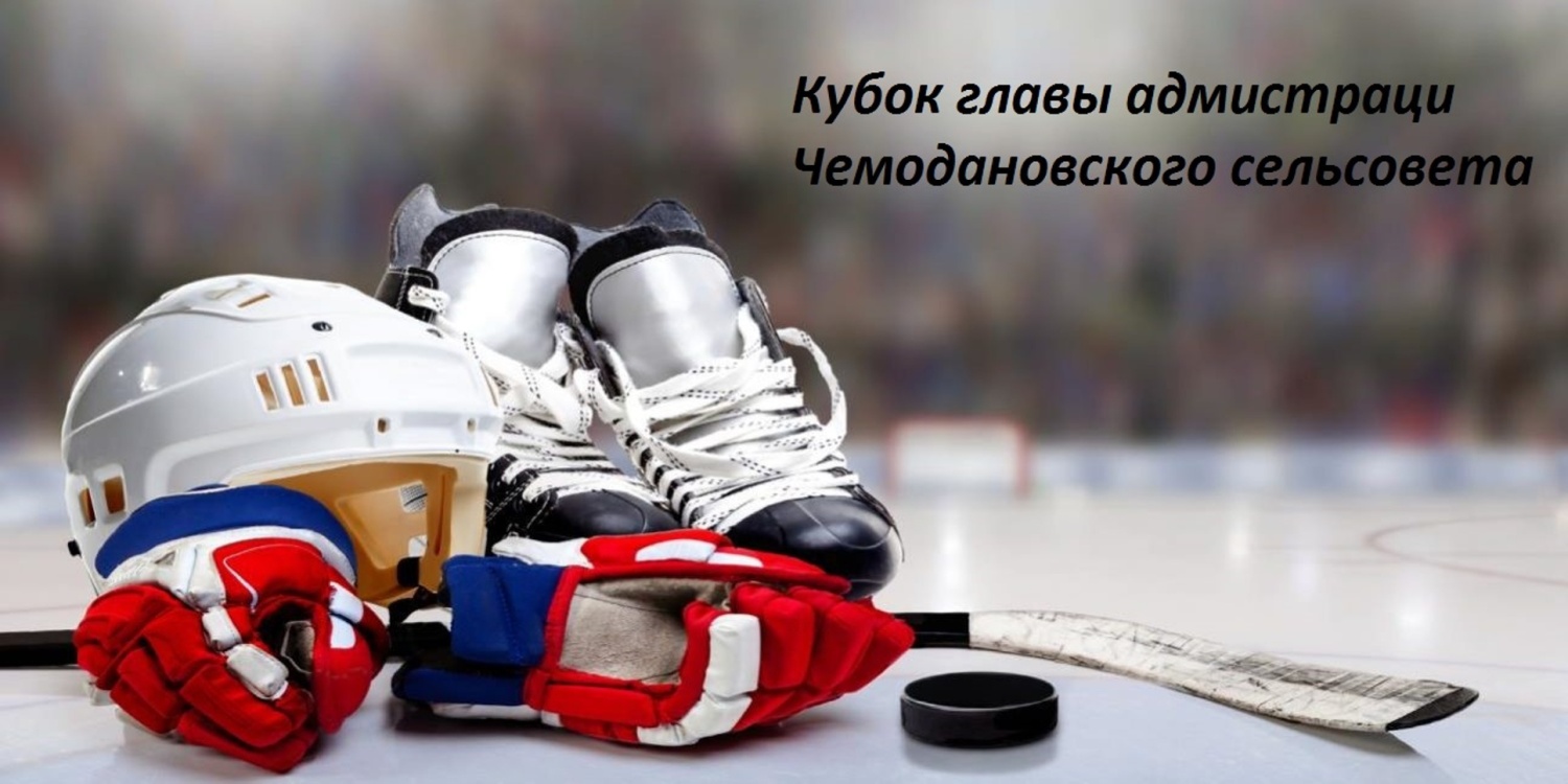 Кубок главы Администрации Чемодановского сельского совета