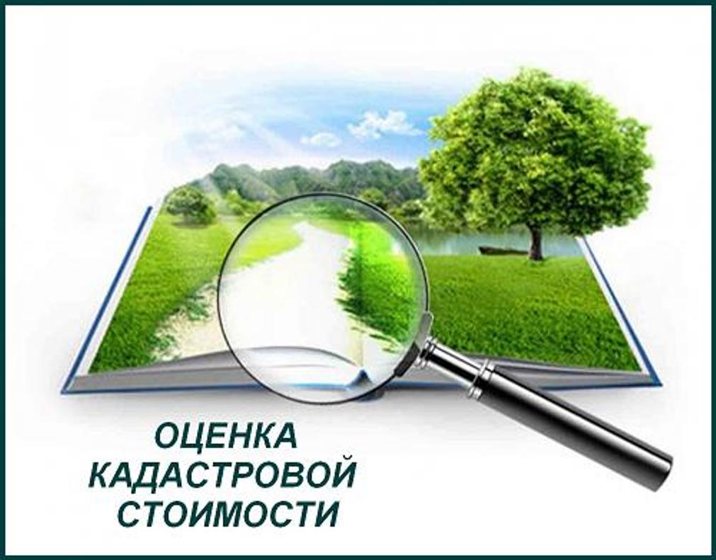Как жители Пензенской области могут повлиять на кадастровую стоимость земли?