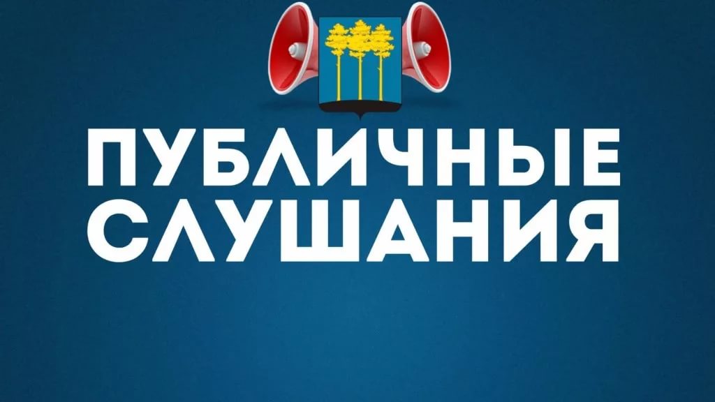 Публичные слушания