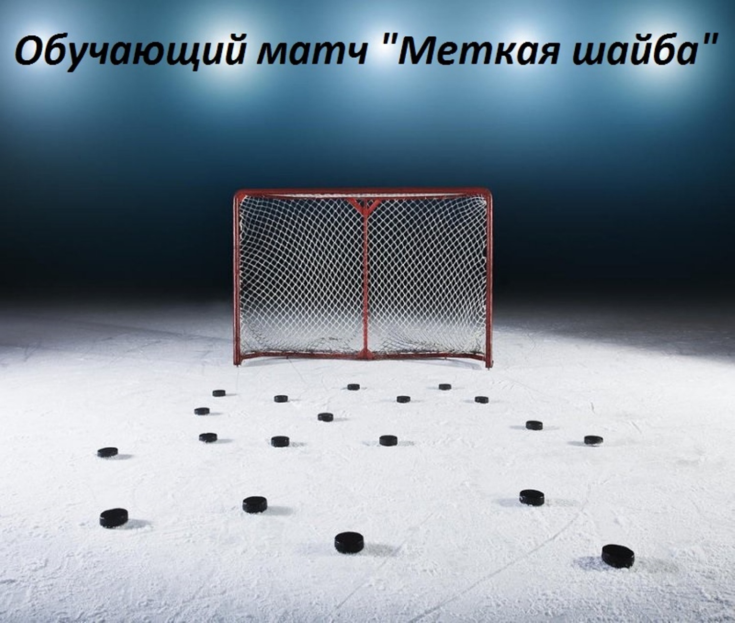 Обучающий матч по хоккею «Меткая шайба!»