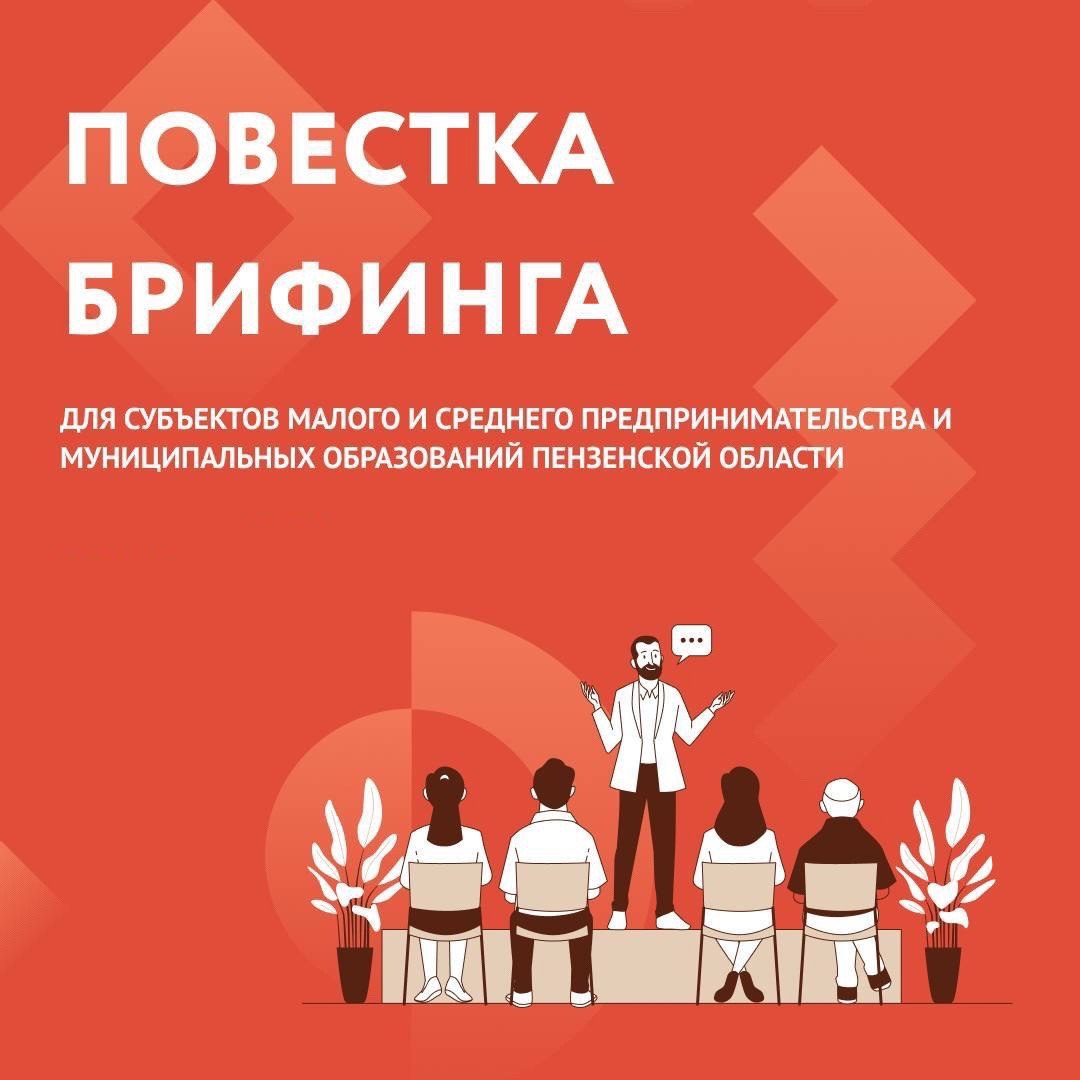 Онлайн-брифинг для субъектов малого и среднего предпринимательства и муниципальных образований Пензенской области