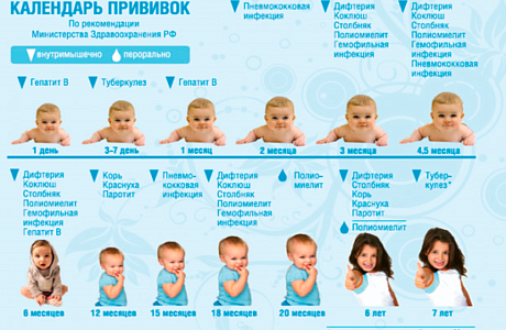 НАЦИОНАЛЬНЫЙ КАЛЕНДАРЬ ПРИВИВОК