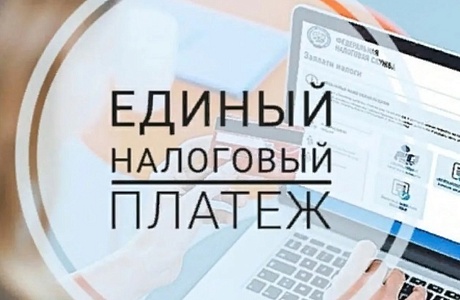Единый налоговый счет упростит исполнение обязанности по уплате налогов