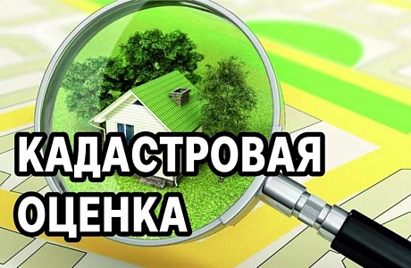 Утверждены результаты государственной кадастровой оценки