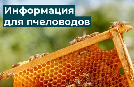 В Мичуринске пройдёт межрегиональный форум пчеловодов «Черноземье. Мастерская пчеловодства»