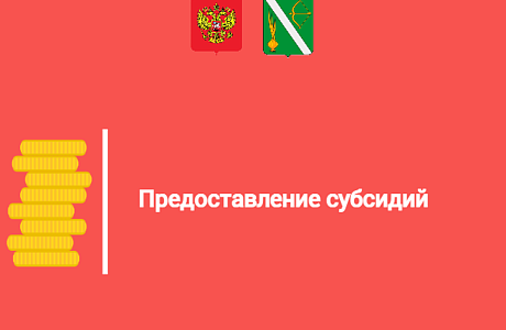 Предоставление субсидий 