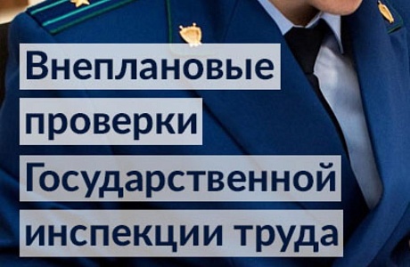 Будет расширен перечень организаций, в которые не придут с плановой проверкой Будет расширен перечень организаций, в которые не придут с плановой проверкой