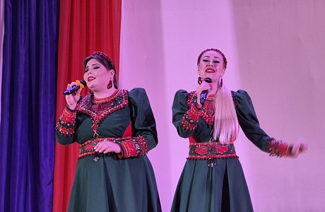 В рамках регионального проекта «Творческие встречи» состоялся концерт ансамбля народной песни «Барыня».