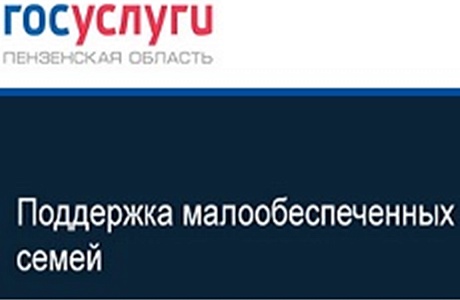 Новости Портала госуслуг Пензенской области 