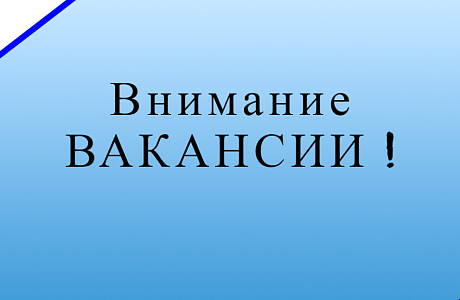 В администрации Бессоновского района имеются следующие вакансии