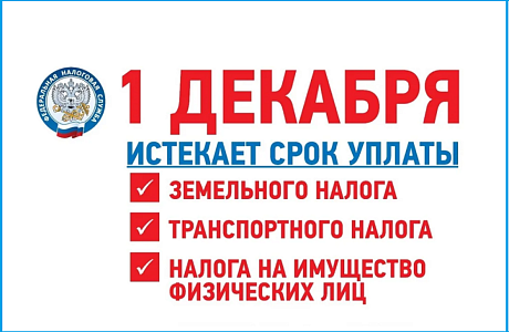 До 1 декабря физические лица должны оплатить имущественные налоги