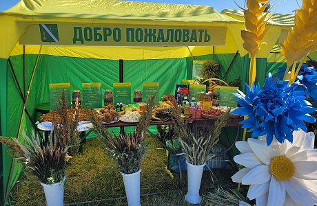 В Каменском районе прошло масштабное традиционное агромероприятие – выставка «День Поля».