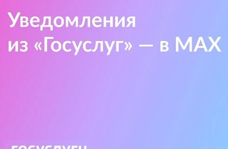 Проверяйте статусы заявлений на Госуслугах в МAX