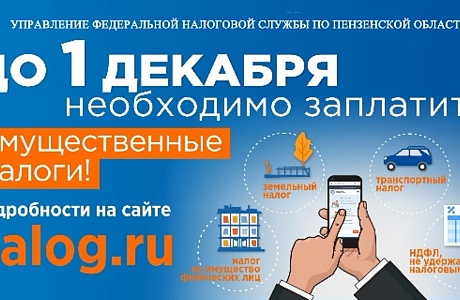 ФНС напоминает: до 1 декабря необходимо оплатить имущественные налоги