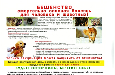Памятка по бешенству 