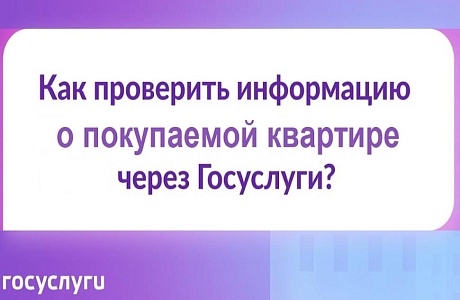 Как проверить информацию о квартире перед покупкой