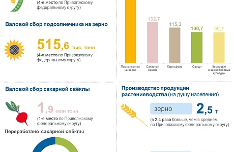 Производство продукции растениеводства на 1 ноября 2023 года
