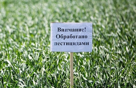Внимание обработка пестицидами
