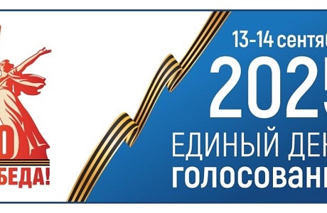 На территории Бессоновского района пройдут дополнительные выборы депутатов представительных органов Бессоновского района