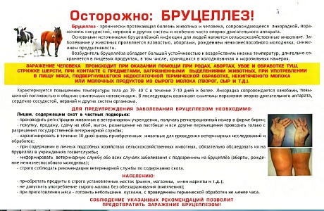 Эпизоотическая ситуация по бруцеллёзу животных на территории Пензенской области остается напряжённой