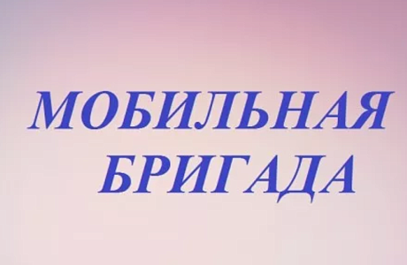 «Мобильная бригада» спешит на помощь.