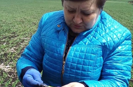 В хозяйствах района проведено обследование озимых и яровых культур