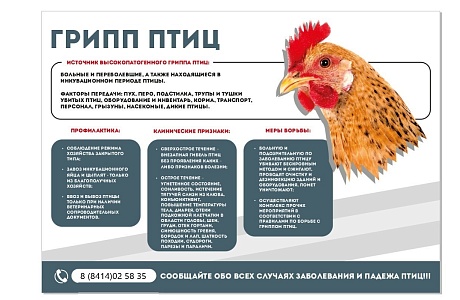 Грипп птиц!