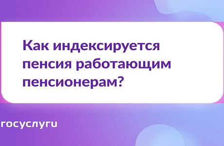 ГОСУСЛУГИ: как индексируется пенсия работающих пенсионеров ГОСУСЛУГИ: как индексируется пенсия работающих пенсионеров