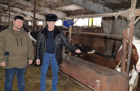Начальник управления развития сельского хозяйства Михаил Горшенин посетил хозяйство Оксаны Шерниязовой