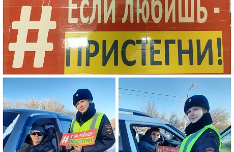  Сотрудники Госавтоинспекции  провели акцию «Если любишь - пристегни!»