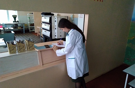 Продолжена работа по проверке пришкольных лагерей Продолжена работа по проверке пришкольных лагерей