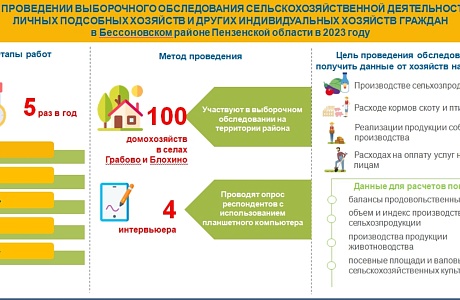О проведении выборочного обследования сельскохозяйственной деятельности личных подсобных хозяйств и других индивидуальных хозяйств граждан в Бессоновском района в 2023 году
