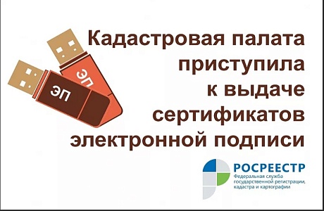 Кадастровая палата рассказала о преимуществах использования электронной подписи