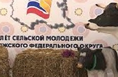 Слет сельской молодежи субъектов РФ ПФО Слет сельской молодежи субъектов РФ ПФО