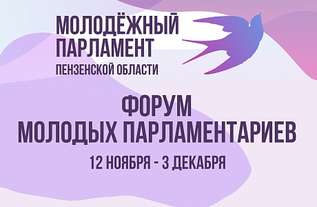 VII форум молодых парламентариев Пензенской области VII форум молодых парламентариев Пензенской области