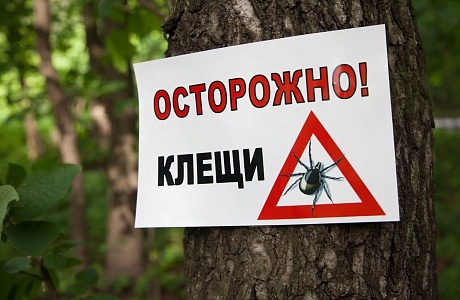 Осторожно клещи