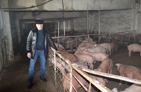 Начальник управления и развития сельского хозяйства Михаил Горшенин посетил хозяйство Бориса Шалашилина