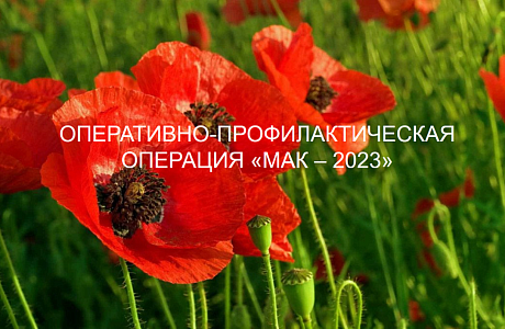 На территории Бессоновского района прошла межведомственная комплексная оперативно-профилактическая операции «Мак – 2023»