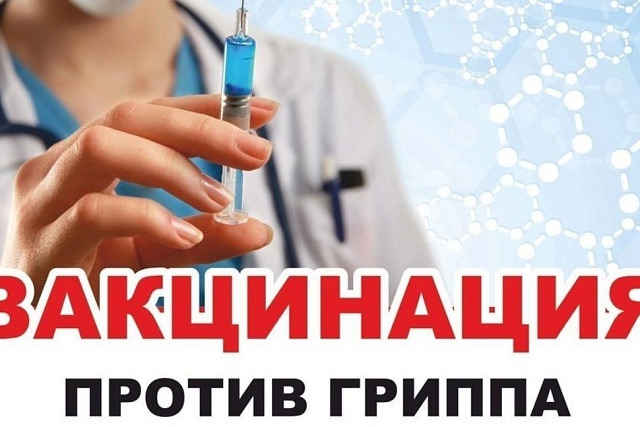 Аналитическая справка по вакцинации гриппа 