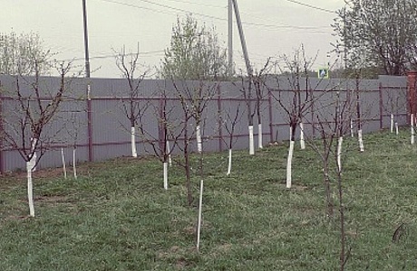 ВЫЕЗД К УЧАСТНИКУ СОЦИАЛЬНОГО КОНТРАКТА