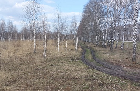 Рабочий выезд 