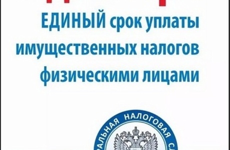 Напоминаем: До 1 декабря 2020 года нужно заплатить налоги за 2019 год